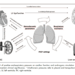 Artículo: Efectos hemodinámicos de la presión positiva al final de la espiración (PEEP).